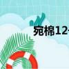 宛棉12號（關于宛棉12號介紹）