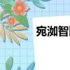宛洳智障（關于宛洳智障介紹）