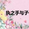 執之手與子偕老什么意思（含義是什么）