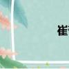 崔蕾（關于崔蕾簡介）