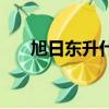 旭日東升什么意思（旭日東升的解釋）