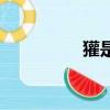 獾是什么動物（獾簡介）