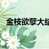 金枝欲孽大結局（金枝欲孽大結局是什么）
