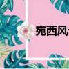 宛西風云（關于宛西風云介紹）