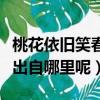 桃花依舊笑春笑春風的全詩（桃花依舊笑春笑出自哪里呢）