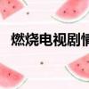 燃燒電視劇情介紹（燃燒電視劇情是什么）