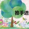 推手進階（關于推手進階簡介）