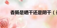 香腸是曬干還是陰干(香腸怎么曬)