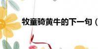 牧童騎黃牛的下一句(詩句釋義)