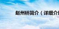 趙州橋簡介(詳細介紹看下面)