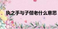 執之手與子偕老什么意思(含義是什么)