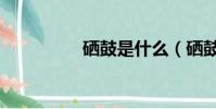 硒鼓是什么(硒鼓介紹)