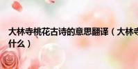 大林寺桃花古詩的意思翻譯(大林寺桃花古詩的意思翻譯是什么)