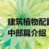 建筑植物配置：中部篇（關于建筑植物配置：中部篇介紹）