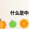 什么是中產階級（中產階級的解釋）