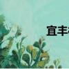 宜豐村（關于宜豐村介紹）