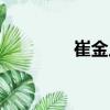崔金川（關于崔金川簡介）