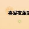 喜愛夜蒲歌詞（喜愛夜蒲主題曲歌詞）