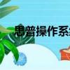 思普操作系統（關于思普操作系統介紹）