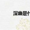 深幽是什么意思（深幽詞語釋義）