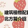 建筑植物配置：北方篇（關于建筑植物配置：北方篇介紹）