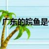 廣東的皖魚是什么魚（廣東的皖魚簡單介紹）