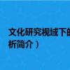 文化研究視域下的個案分析（關于文化研究視域下的個案分析簡介）
