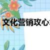 文化營銷攻心術（關于文化營銷攻心術簡介）