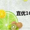 宜優168（關于宜優168介紹）