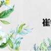 崔鎰（關于崔鎰簡介）