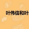 葉偉信和葉問有什么關系（兩者無關系）