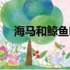 海馬和鯨魚哪個是真正的魚（你知道嗎）