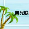 弟兄聯盟（關于弟兄聯盟介紹）