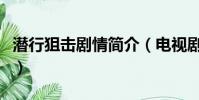 潛行狙擊劇情簡介(電視劇潛行狙擊劇情簡介)