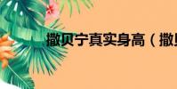 撒貝寧真實身高(撒貝寧簡介)