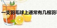 一支羽毛球上通常有幾根羽毛(羽毛球介紹)