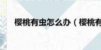 櫻桃有蟲怎么辦(櫻桃有蟲怎么解決)