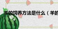羊的飼養方法是什么(羊的飼養方法介紹)