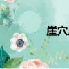 崖穴居（關于崖穴居簡介）