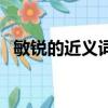 敏銳的近義詞是什么（敏銳的近義詞列述）