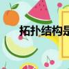 拓撲結構是什么意思（拓撲結構介紹）