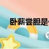 臥薪嘗膽是什么生肖（臥薪嘗膽是龍嗎）