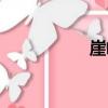 崖嶺（關于崖嶺簡介）
