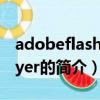 adobeflashplayer是什么（adobeflashplayer的簡介）