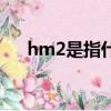 hm2是指什么面積單位（hm2是指啥）