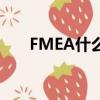 FMEA什么意思（FMEA的含義介紹）