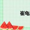 崔龜圖（關于崔龜圖簡介）