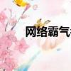 網絡霸氣名字（網絡霸氣名字大全）