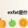 exfat是什么格式（exfat格式的解釋）