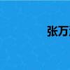 張萬洪（關于張萬洪介紹）